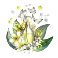 A perfume bottle made of transparent glass with flowers of plumeria, frangipani, orange blossom and ylang-ylang. Vintage yellow perfume with butterflies, splashes. Hand-drawn watercolor illustration. png