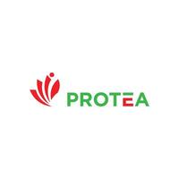 protea logo diseño , flor resumen vector