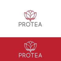 protea flor resumen logo diseño modelo vector