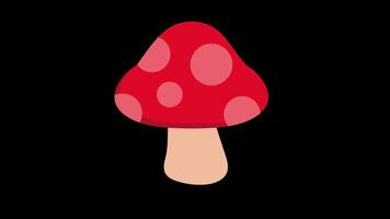 red and white mushroom icon concept loop animation video with alpha channel