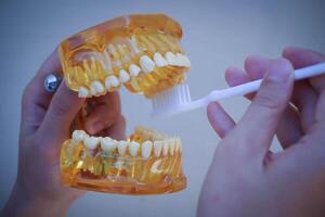 mano hembra dentista limpieza dental amarillo mandíbula modelo con blanco cepillo de dientes foto