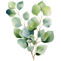 AI generated Eucalyptus leaf wedding png