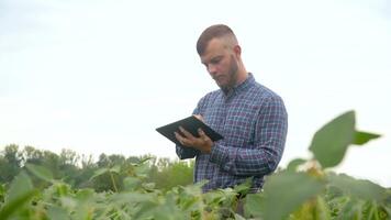 A plant specialist with tablet, checking the field soy a background of greenery. Concept ecology, bio product, inspection, natural products video