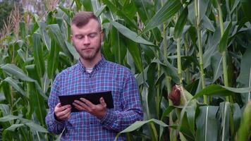 A plant specialist with notebook, checking the field corn a background of greenery. Concept ecology, bio product, inspection, natural products video