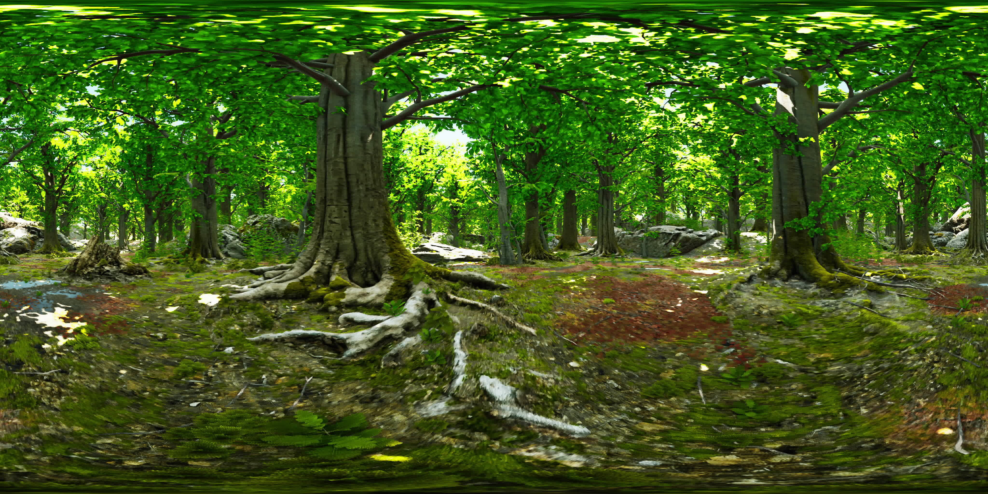 A Serene Journey Through a Verdant Forest Wonderland 39859959 Stock 