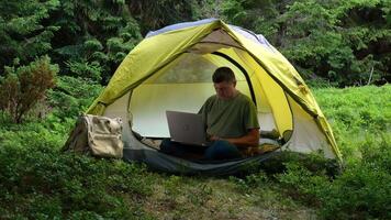 een Mens werken Aan een laptop in een toerist kamp in een mooi Woud. concept van freelancen, digitaal nomade of afgelegen kantoor. 4k video