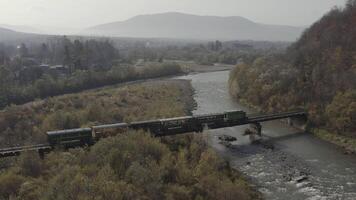 aéreo Visão do uma trem viajando sobre uma estrada de ferro ponte sobre uma rio. zangão voar sobre a locomotiva e carruagens do a limitar calibre estrada de ferro. video