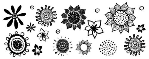 Vector drawing of flowers and leaves, isolated floral elements with a black line on a white background, hand-drawn illustration of a botanist.