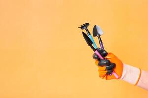 Hand in gardening glove with gardening tools on orange background with copy space. photo