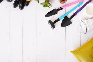 Soil, pots, plants and gardening tools flat lay, top view with copy space. Home gardening concept photo