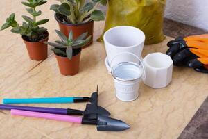 Home plants and gardening tools with gloves, pots and soil on marble table photo