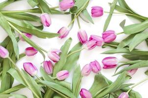 primavera flores primavera antecedentes. saludo tarjeta para San Valentín día mujer día y de la madre día. foto