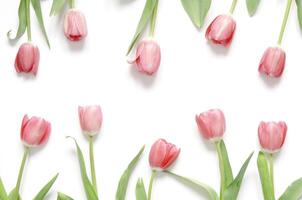 Floral background with tulips flowers on white background. Flat lay, top view. Lovely greeting card with tulips for Mothers day, wedding or happy event photo