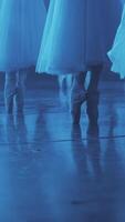 Synchronized dance of ballerinas in pointe shoes. on stage. a lot of pairs of legs in the frame. synchronous leg movements ballerin. Slow motion. Vertical format for the phone. video