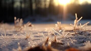 AI generated Winter season outdoors landscape, frozen plants in nature on the ground covered with ice and snow, photo