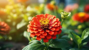 ai generado florecer lila zinnia flor en un verde antecedentes en un verano día macro fotografía. foto