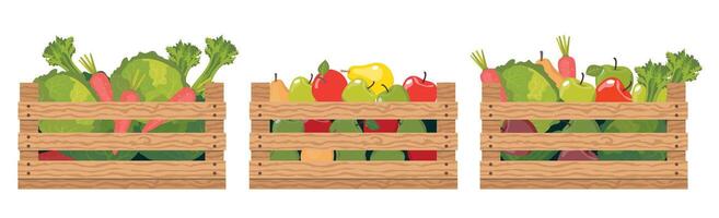 A set of wooden boxes with various vegetables and fruits. Harvest of apples, pears, cabbage, carrots in drawers. Boxes for storing and transporting crops. Vector illustrated vector clipart.