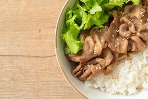 tazón de arroz donburi de cerdo japonés foto