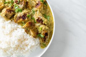 Afghani chicken in green curry or Hariyali tikka chicken hara masala with rice photo