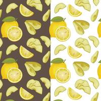 Colorful Seamless Pattern with fresh fruits. Seamless pattern with citruses. Food Pattern. Fruits Background. Mixed fruits Pattern. Kitchen vibrant design. Hand drawn vector illustration