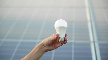 avvicinamento di un' femmina mano Tenere un' lampada su il sfondo di un' solare pannello. il verde energia concetto video