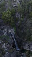 vertikal video av vattenfall. natur landskap antenn se