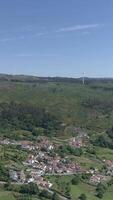 verticaal video van groen dorp antenne visie