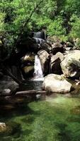 vertical vídeo de increíble cascada en naturaleza video