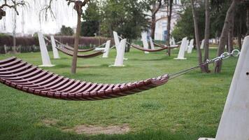 A hammock is suspended between trees on the lush grass in a park video