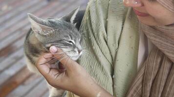 femmina abbracciare sua gatto. persone nel vivere con gatto . video