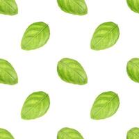 Basil leaf seamless pattern photo