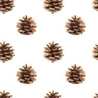 Pine cones seamless pattern isolated on white photo