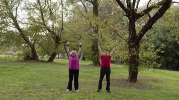 senior aktiva par håller på med sport fysisk övningar utomhus- i stad parkera. morgon- stretching träna video