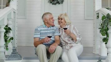 Senior elderly Caucasian couple drinking wine in porch at home, looking at camera and smiling video