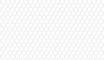 White Abstract Background Vector Illustration.