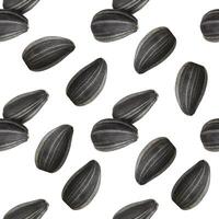 Seamless pattern of black sunflower seeds isolated on white background photo