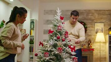 Young man and woman decorate their christmas tree in living room for winter holidays. Decorating beautiful xmas tree with glass ball decorations. Wife and husband in matching clothes helping ornate home with garland lights video