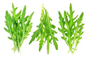 Rucola bunch isolated on white background photo