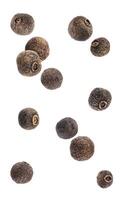 Black pepper. Allspice isolated on white background photo