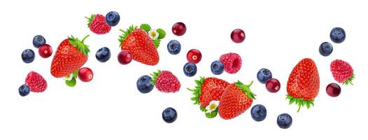 Flying berries isolated on white background with clipping path photo