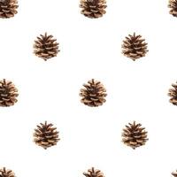 Fir cones seamless pattern isolated on white background, with clipping path photo