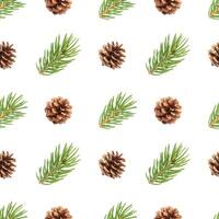 Fir tree branch and pine cones seamless pattern isolated on white background photo