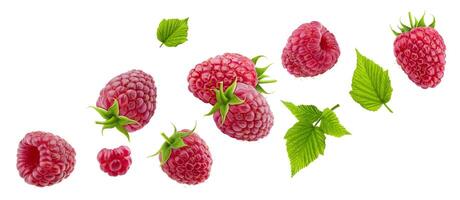 Raspberry isolated on white background with clipping path photo