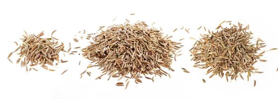Cumin or caraway seeds isolated on white background photo