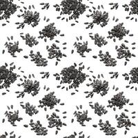 Seamless pattern of black sunflower seeds photo