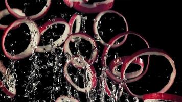 Rings of red onions with drops of water fly up and fall. On a black background. Filmed is slow motion 1000 fps. video