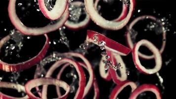 anillos de rojo cebolla con gotas de agua mosca arriba y girar en vuelo. parte superior vista. en un negro antecedentes. filmado en un alta velocidad cámara a 1000 fps. video