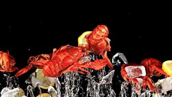 Boiled crayfish with pieces of lemon and ice rise up and fall. On a black background. Filmed is slow motion 1000 fps. video