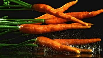 Fresh carrots fall on the table. Filmed is slow motion 1000 fps. High quality FullHD footage video