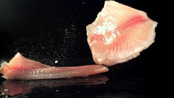 vis filets vallen Aan de tafel met spatten van water. Aan een zwart achtergrond. gefilmd is langzaam beweging 1000 fps. hoog kwaliteit full HD beeldmateriaal video